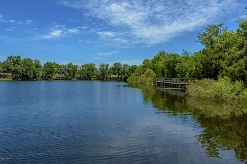4 Willowdale Cir, Ormond Beach, FL 32174 photo 49