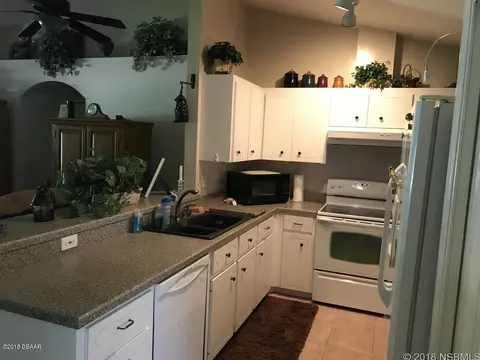 2121 Needle Palm Dr, Edgewater, FL 32141 photo 3