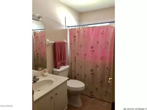 2121 Needle Palm Dr, Edgewater, FL 32141 photo 6