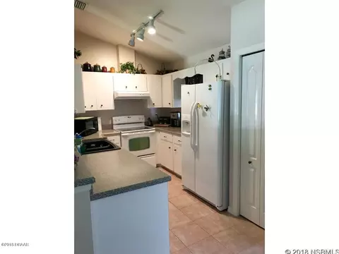 2121 Needle Palm Dr, Edgewater, FL 32141 photo 2