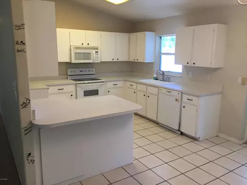 2325 Orange Tree Dr, Edgewater, FL 32141 photo 5