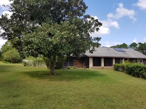 101 Pine Tree Dr, Ormond Beach, FL 32174 photo 3