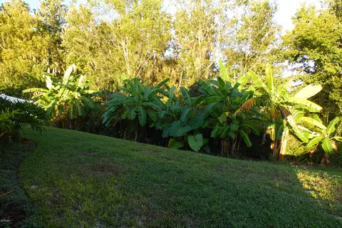 538 Coral Trace Blvd, Edgewater, FL 32132 photo 15