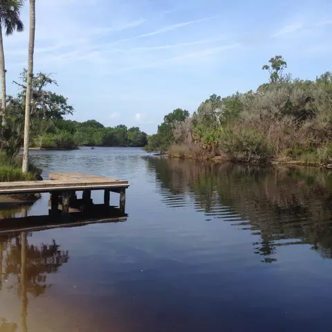 209 Melrose Ave, Ormond Beach, FL 32174 photo 22