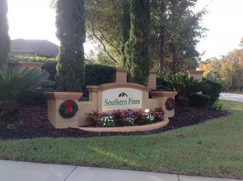 11 Aucuba Cir, Ormond Beach, FL 32174 photo 41