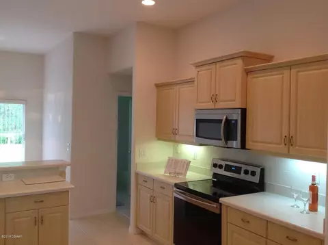 11 Aucuba Cir, Ormond Beach, FL 32174 photo 11