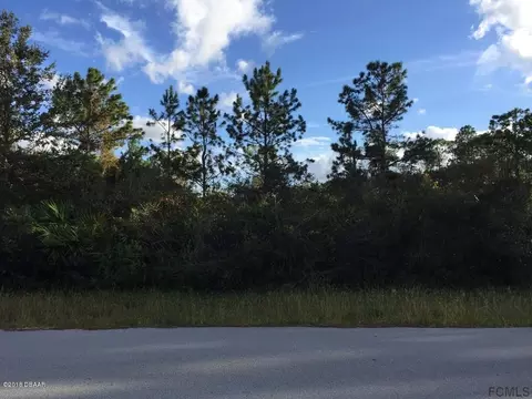 36 Bunker Ln, Palm Coast, FL 32137 photo 3