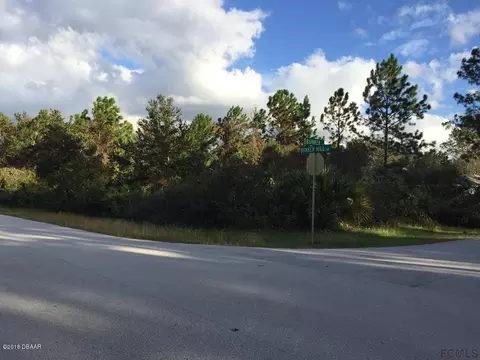 36 Bunker Ln, Palm Coast, FL 32137 photo 1