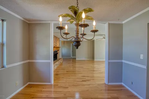 210 Ellicott Dr, Ormond Beach, FL 32176 photo 13