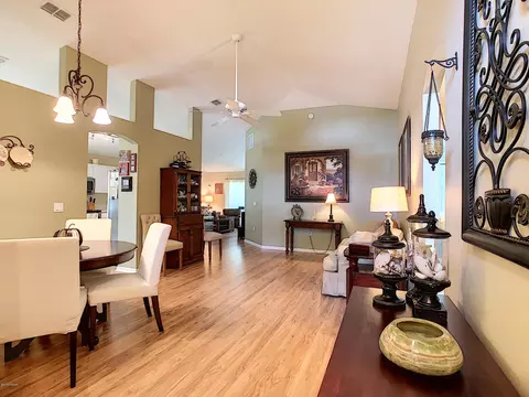 226 Tree Branch Ln, Edgewater, FL 32141 photo 12
