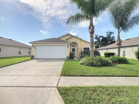 226 Tree Branch Ln, Edgewater, FL 32141 photo 1