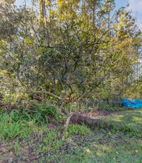 1660 Hickory St, Bunnell, FL 32110 photo 12