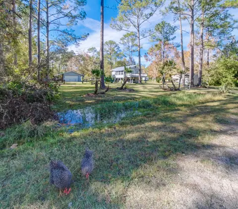 1660 Hickory St, Bunnell, FL 32110 photo 2