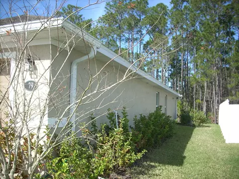 79 Pergola Pl, Ormond Beach, FL 32174 photo 33