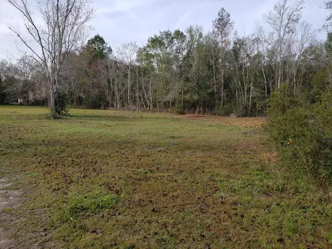 3737 Pear Ave, Bunnell, FL 32110 photo 24