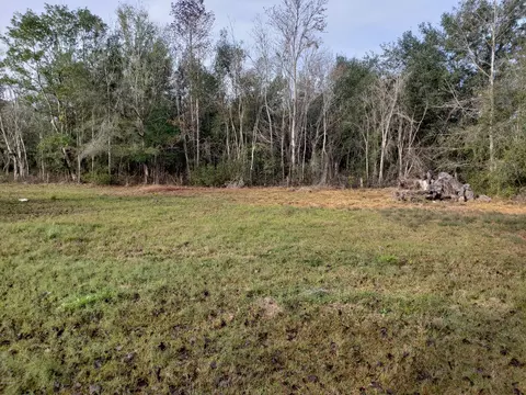 3737 Pear Ave, Bunnell, FL 32110 photo 26