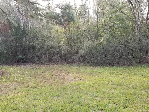 3737 Pear Ave, Bunnell, FL 32110 photo 33