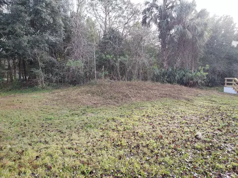 3737 Pear Ave, Bunnell, FL 32110 photo 27
