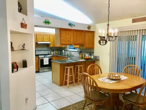 3039 Silver Palm Dr, Edgewater, FL 32141 photo 5