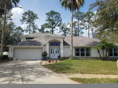 43 Peruvian Ln, Ormond Beach, FL 32174 photo 1