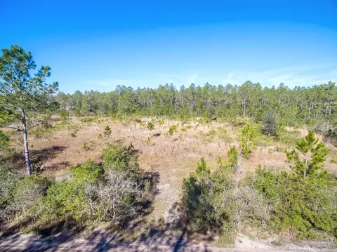 3724 Long Leaf Dr, Ormond Beach, FL 32174 photo 4