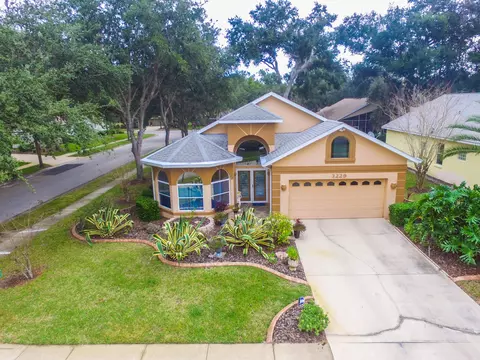 3229 Lienster Cir, Ormond Beach, FL 32174 photo 65