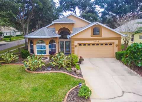3229 Lienster Cir, Ormond Beach, FL 32174 photo 64