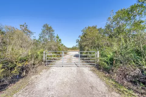 3734 Long Leaf Dr, Ormond Beach, FL 32174 photo 4