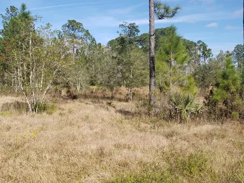 2863 Spruce St, Bunnell, FL 32110 photo 26