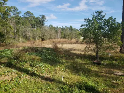 2863 Spruce St, Bunnell, FL 32110 photo 21