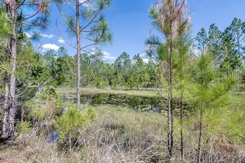 234 Rodeo Rd, Ormond Beach, FL 32174 photo 40