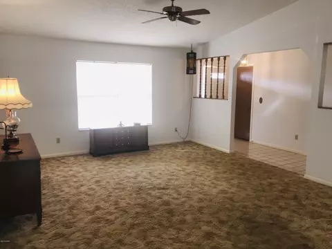 2317 Sabal Palm Dr, Edgewater, FL 32141 photo 3