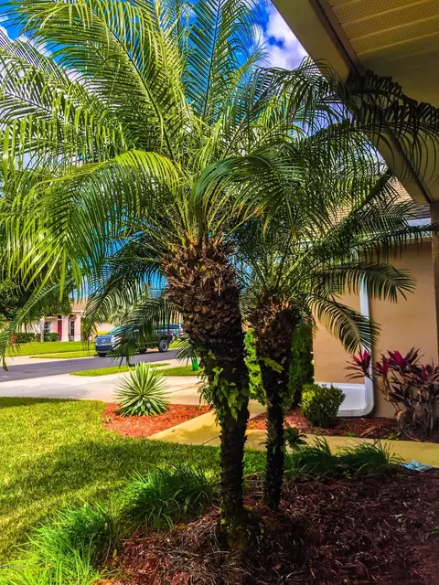 506 Coral Trace Blvd, Edgewater, FL 32132 photo 19