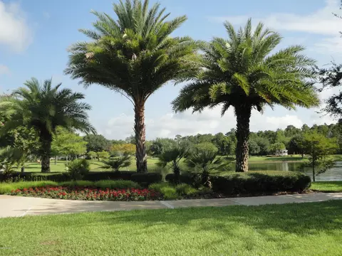 1233 Hampstead Ln, Ormond Beach, FL 32174 photo 32