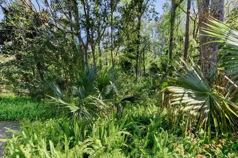 15 Raintree Ct, Ormond Beach, FL 32174 photo 26