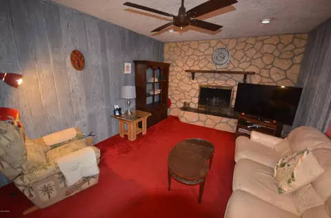 117 Virginia St, Edgewater, FL 32132 photo 13