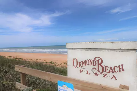 6 Tarpon Ave, Ormond Beach, FL 32176 photo 27