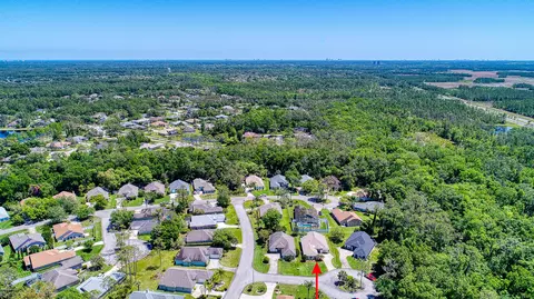 5 Lonetree Look, Ormond Beach, FL 32174 photo 32