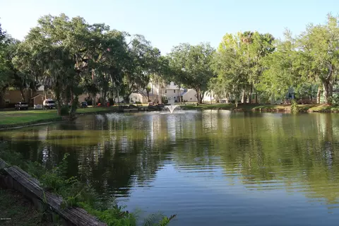 19 Tomoka Meadows Blvd, Ormond Beach, FL 32174 photo 18