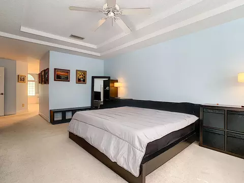 716 Dolphin Head Ln, Ormond Beach, FL 32174 photo 16