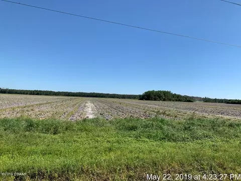 515 John Campbell Dr, Bunnell, FL 32110 photo 34