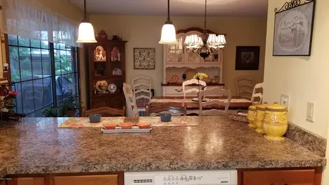 2428 E Tamarind Dr, Edgewater, FL 32141 photo 10