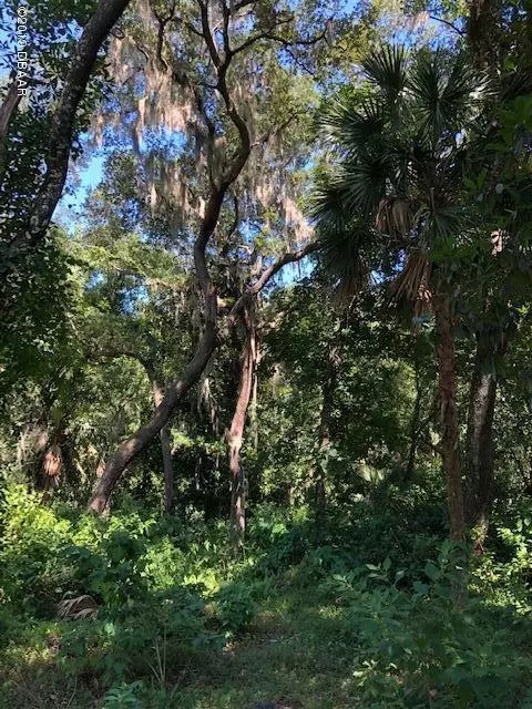 20 Lost Creek Ln, Ormond Beach, FL 32174 photo 4