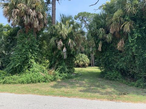 111 Virginia St, Edgewater, FL 32132 photo 1