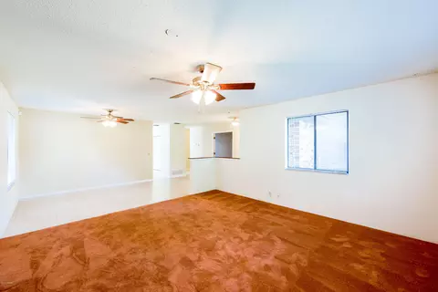 1533 Poplar Dr, Ormond Beach, FL 32174 photo 6