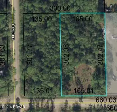 4790 Walnut Ave, Bunnell, FL 32110 photo 2