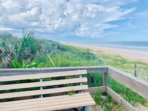 18 Rivocean Dr, Ormond Beach, FL 32176 photo 30