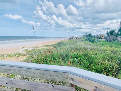 18 Rivocean Dr, Ormond Beach, FL 32176 photo 32