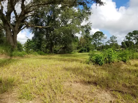 34712 La Pl, Eustis, FL 32736 photo 30