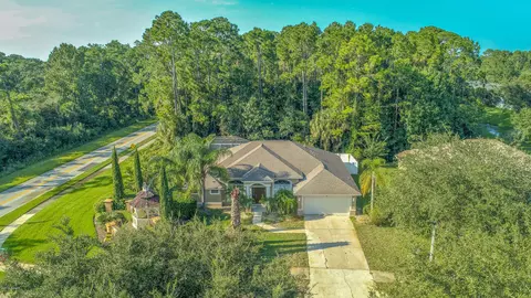 3 Cross Vine Dr, Ormond Beach, FL 32174 photo 3